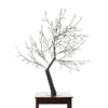 47.25" White And Black Outdoor Cherry Blossom Tree With Floral Lights