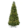 10’ Pre-Lit Natural Fraser Medium Fir Artificial Christmas Tree - Clear Lights