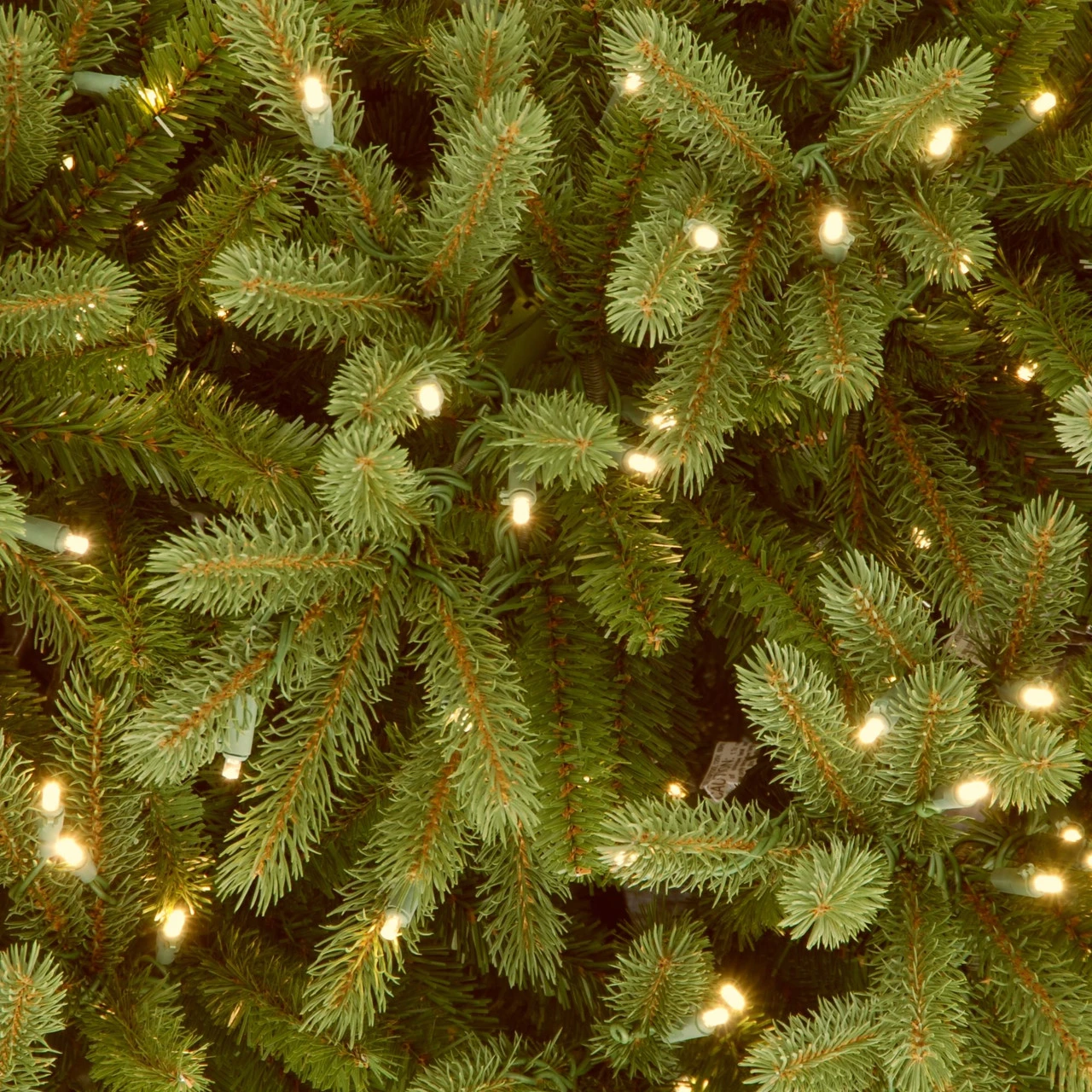 6.5’ Pre-Lit Jersey Fraser Fir Artificial Christmas Tree – Clear Lights 3 6.5’ Pre-Lit Jersey Fraser Fir Artificial Christmas Tree – Clear Lights - Image 3