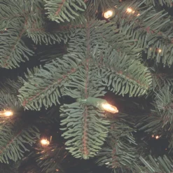 7.5’ Pre-Lit Mountain Noble Blue Spruce Artificial Christmas Tree – Clear Lights 5 7.5’ Pre-Lit Mountain Noble Blue Spruce Artificial Christmas Tree – Clear Lights -Christmas Trees Shop dnat pembs3 300 75 3 20895.1667578363