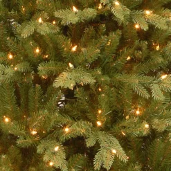 7.5’ Pre-Lit Sierra Spruce Slim Artificial Christmas Tree – Clear Lights 5 7.5’ Pre-Lit Sierra Spruce Slim Artificial Christmas Tree – Clear Lights -Christmas Trees Shop dnat pesi 304 75 3 60796.1667576127