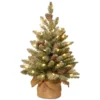 2' Pre-lit Potted Battery Operated Snowy Concolor Fir Artificial Christmas Tree - Warm White LED Lights