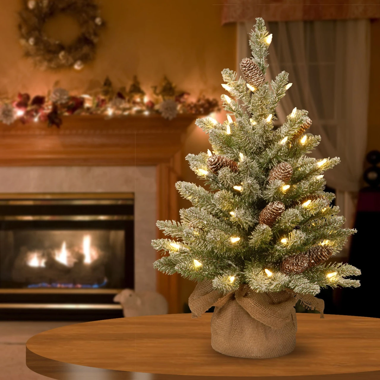 2' Pre-lit Potted Battery Operated Snowy Concolor Fir Artificial Christmas Tree - Warm White LED Lights 2 2' Pre-lit Potted Battery Operated Snowy Concolor Fir Artificial Christmas Tree - Warm White LED Lights - Image 2