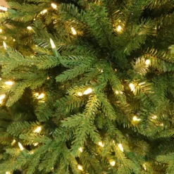 7.5' Pre-Lit LED Galveston Fir Artificial Christmas Tree, Color Select Lights -Christmas Trees Shop dpul gv 75f5ld8 3 50509.1688471974