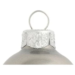 6ct Silver Metallic Glass Christmas Ball Ornaments 4" (100mm) -Christmas Trees Shop dwhi 28445 03 98344.1667684607