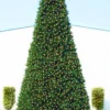 12' Pre-Lit Green Slim Pine Artificial Christmas Tree - Clear Lights