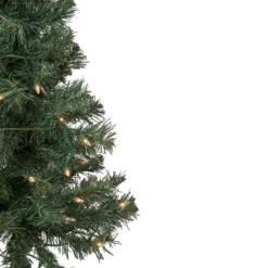 3' Pre-Lit Green Medium Blackwater Fir Artificial Christmas Tree - Clear Lights -Christmas Trees Shop northlight b83526 2 74838.1667655503