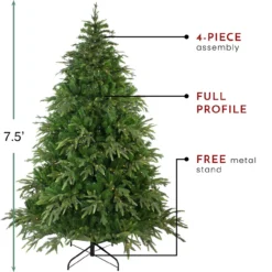 7.5' Pre-Lit Full Roosevelt Fir Artificial Christmas Tree - Warm White LED Lights -Christmas Trees Shop northlight hb27077 thumbnail 1 78062.1667491070