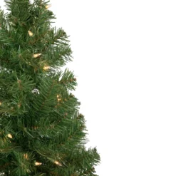 3' Pre-Lit Oakridge Noble Fir Artificial Christmas Tree, Clear Lights 11 3' Pre-Lit Oakridge Noble Fir Artificial Christmas Tree, Clear Lights -Christmas Trees Shop northlight sm92895 3 48512.1667490893