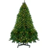 14' Pre-Lit Full Olympia Pine Artificial Christmas Tree - Warm White Lights