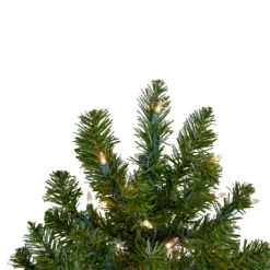 2' Pre-Lit Medium Canadian Pine Artificial Christmas Tree - Clear Lights 9 2' Pre-Lit Medium Canadian Pine Artificial Christmas Tree - Clear Lights -Christmas Trees Shop northlight v15846 2updated 49675.1667534208