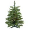 2' Pre-Lit Medium Canadian Pine Artificial Christmas Tree - Warm Clear Lights