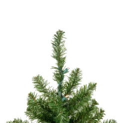 2' Pre-Lit Medium Canadian Pine Artificial Christmas Tree - Warm Clear Lights 8 2' Pre-Lit Medium Canadian Pine Artificial Christmas Tree - Warm Clear Lights -Christmas Trees Shop northlight v15847 3updated 29824.1667580397
