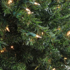 2' Pre-Lit Medium Canadian Pine Artificial Christmas Tree - Clear Lights 8 2' Pre-Lit Medium Canadian Pine Artificial Christmas Tree - Clear Lights -Christmas Trees Shop northlight v15887 2updated 07129.1667534208