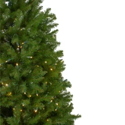 14' Pre-Lit Northern Pine Full Artificial Christmas Tree - Warm White LED Lights -Christmas Trees Shop northlight z35727 2 updated 82314.1667659997