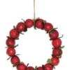 4.5" Red Crab Apple Autumn Harvest Christmas Wreath Ornament