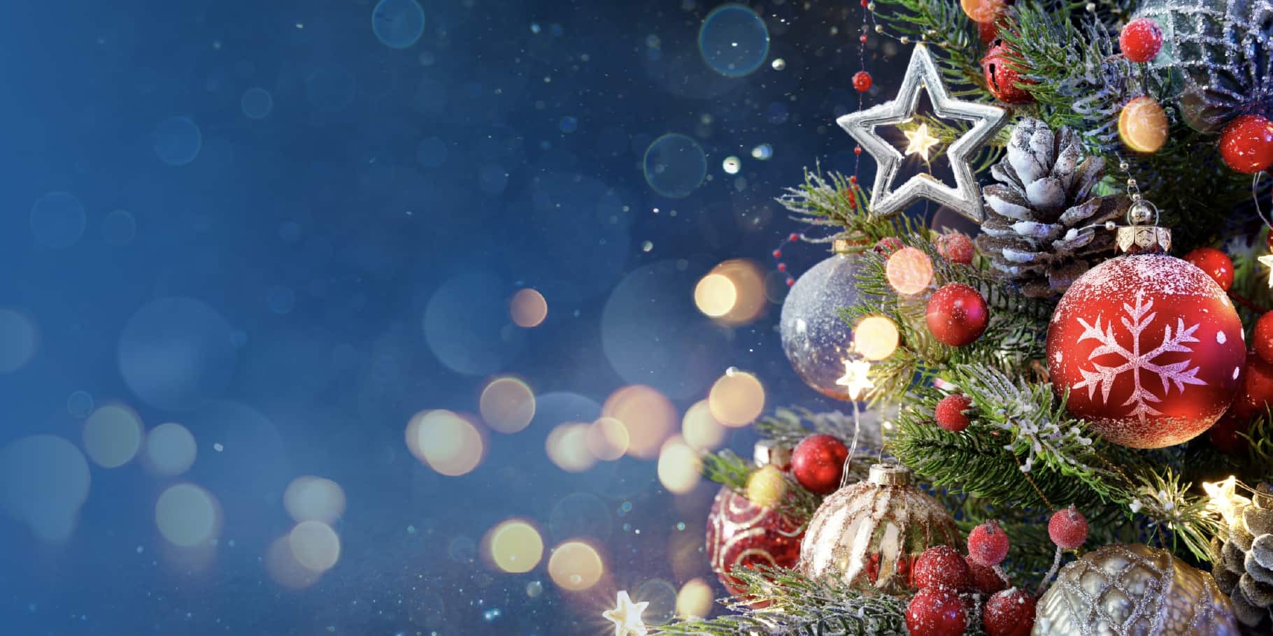 Christmas Trees Shop -Christmas Trees Shop xmas christmas multi color ornaments decorations pine needles 30 10 2024 1730273785 hd wallpaper